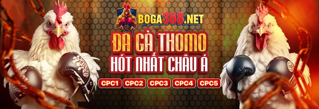 Xổ Số vnbet